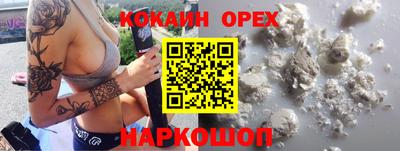 прущие грибы Будённовск