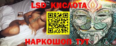 прущие грибы Будённовск