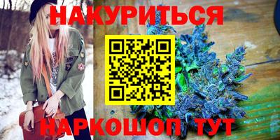 прущие грибы Будённовск