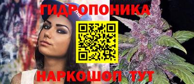 apvp Вышний Волочёк