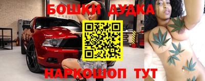 прущие грибы Будённовск